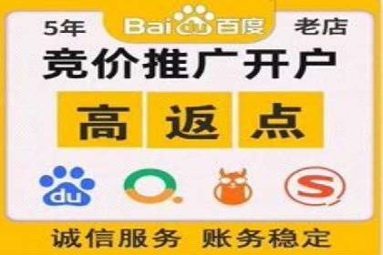 竞价推广策略：某电商平台的成功之路